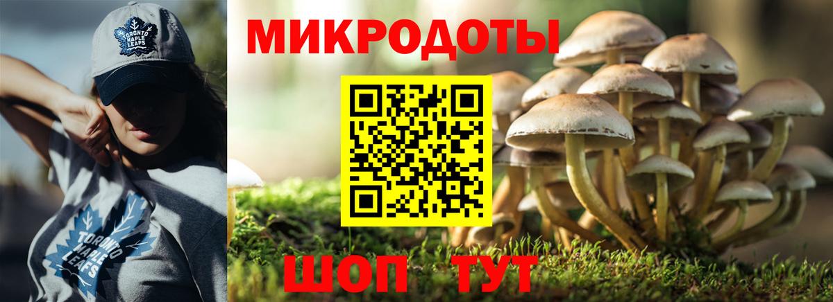 Галлюциногенные грибы GOLDEN TEACHER Петрозаводск